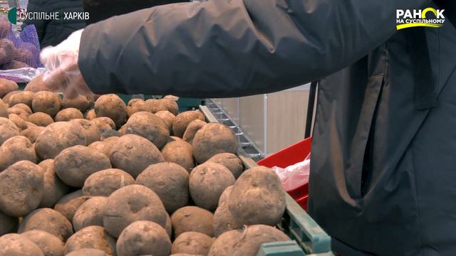 Тиждень без поліетилену: як пристосовуються покупці та бізнес смотреть онлайн