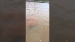 Горячий источник в Тобольске