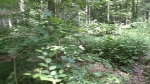 Грибы✅  Все полезное и красивое ..что дает нам Лес .