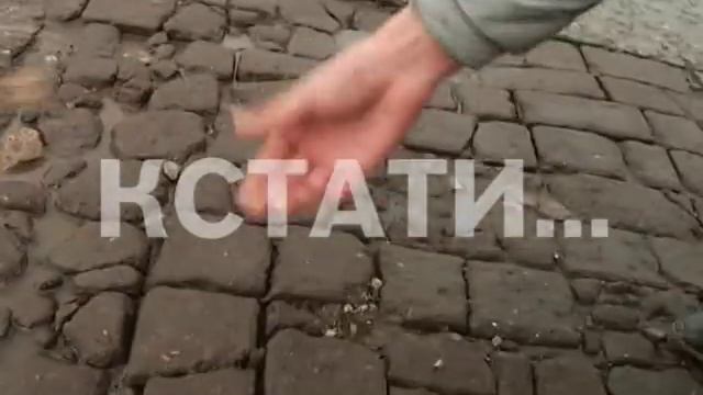 Похороны дорог устроили владельцы машин пострадавших от ям смотреть онлайн