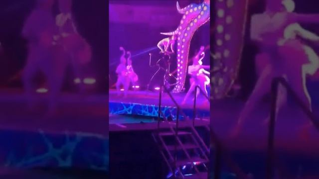 Вистава цирку на воді @Sonehko1608 смотреть онлайн