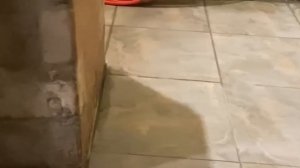 Обзор.Баня в подвале гаража,залил пол и положил плитку с уклоном для стека воды.