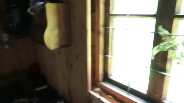 02.07.2020||первая камера как у всех блогеров||собираю зелень в огороде||ремонт в трех комнатах смотреть онлайн