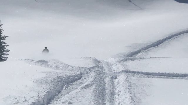 Yamaha sidewinder steep and deep смотреть онлайн