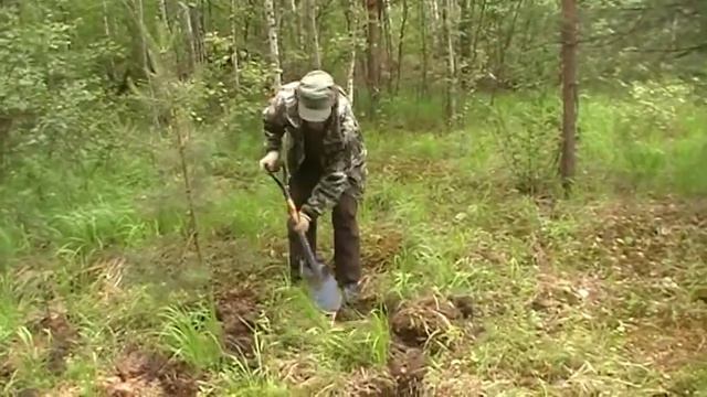 Сажаю лес смотреть онлайн