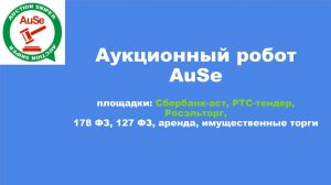 Аукционный робот AuSe, торгующий, cбербанк-аст, ртс-тендер, росэлтор, 178 фз, 127 фз. Функционал.