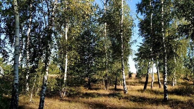 22 августа-Матфеев день.Почему не стоит работать.Змеесос коров.Народные приметы смотреть онлайн