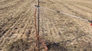 ОРЕХОВЫЙ САД СПУСТЯ 3 ГОДА. ПЕСЧАНСКИЙ ЛУЧШИЙ СОРТ?