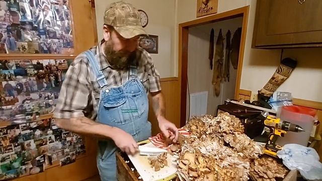 How to clean and preserve Hen of the Woods Mushrooms смотреть онлайн