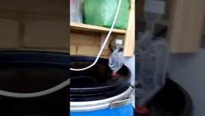 18 остановилось брожение зерновой браги. Добавьте ещё дрожжей и тепла
