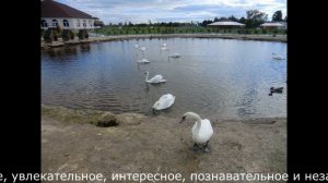 женский монастырь в поселке Приозерье - Калининградская область.