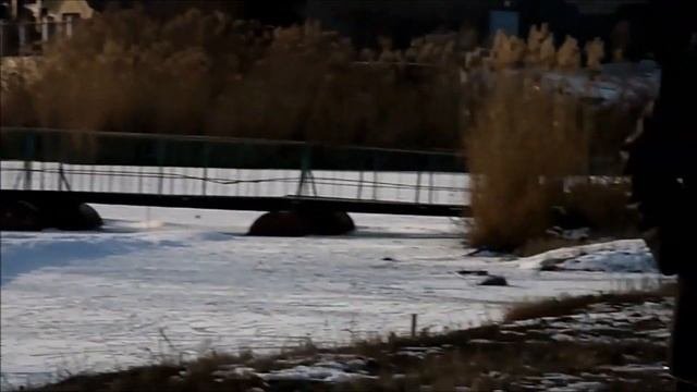 Гастролеры