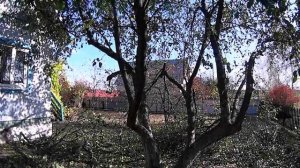 Деревенские будни. Варим затеруху, выпускаем семена, опиливаем яблони