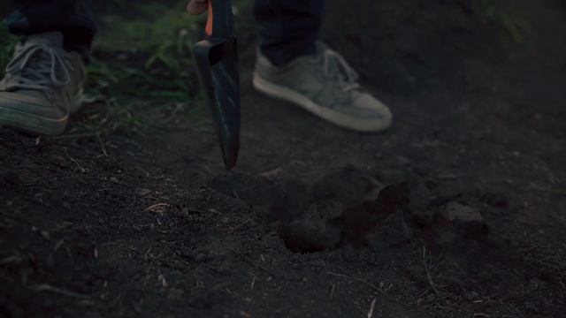 Широкий посадочный совок Альт-Пласт смотреть онлайн