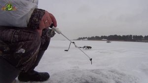 Зимняя рыбалка.Крупный ОКУНЬ на КОНУС с крючком.