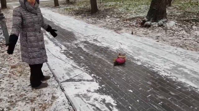 Гололед в Киеве Декабрь 2020 смотреть онлайн