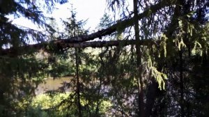 Рыбалка на реке Тобысь , Параськины озёра и поиск с МД...