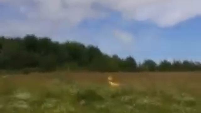 stupid rc plane crash смотреть онлайн