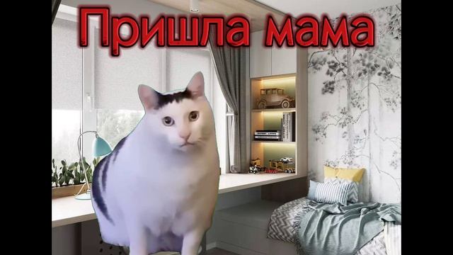 Не пошёл в школу! Коты мемы