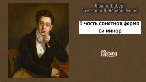 Франц Шуберт Симфония 8 си минор "Неоконченная" Franz Schubert Unfinished Symphony 8 h moll (minor)