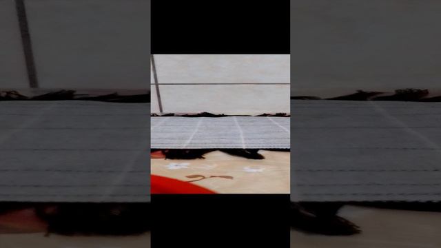 Приколы
