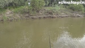 OmskSpin #99. Рыбалка на Иртыше. Нашли рыбу с Garmin Striker plus 4CV. Подводные съемки Иртыша.