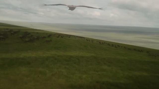 ♫ Leo Rojas ♫ Greatest Hits ♫ Best of Pan Flute ♫ Лео Рохас ♫ смотреть онлайн