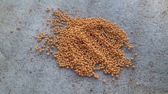 Как избавиться от проволочника смотреть онлайн