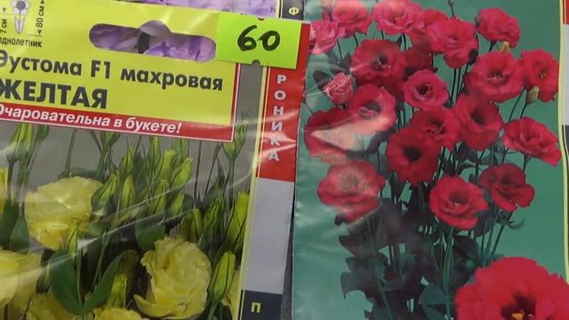 Семена эустомы , сорта и виды, ВПЛ. смотреть онлайн