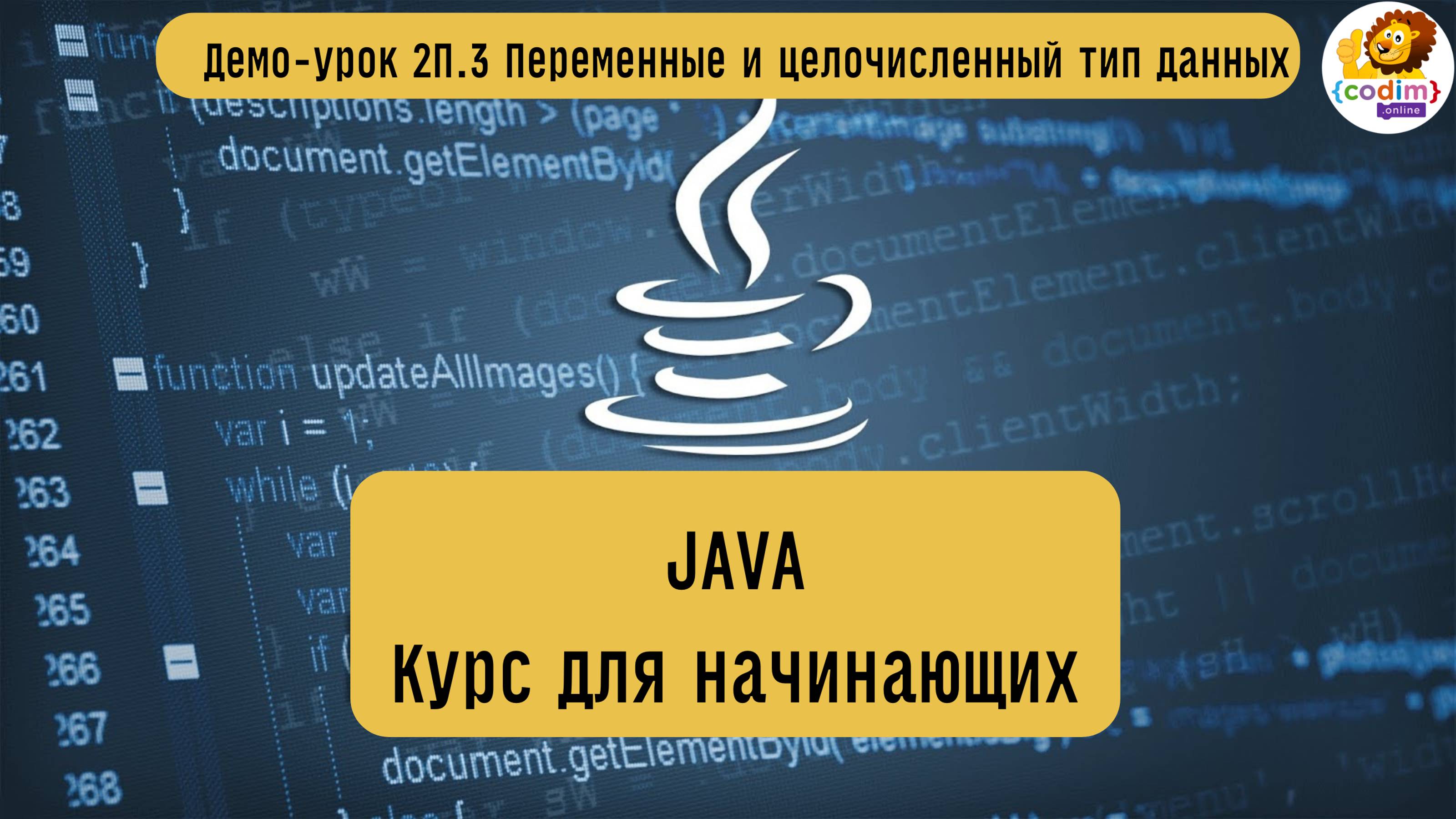 #Java Урок 2.3 Типы данных. Видеоуроки с нуля для детей 12  лет от школы Codim.Online