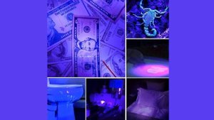 Фонарик, светодиодный ультрафиолетовый для обнаружения пятен мочи домашних животных