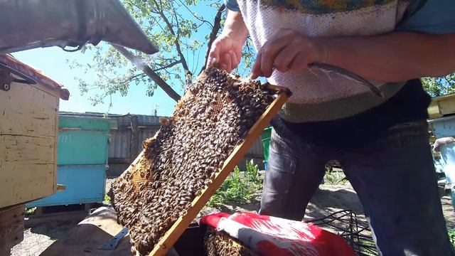 Тихая смена матки смотреть онлайн