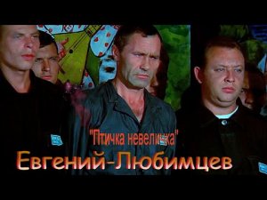 Евгении-Любимцев-Птичка-невеличка.mp4