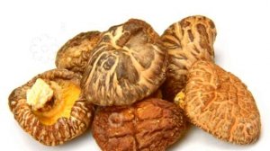 ГРИБЫ ШИИТАКЕ ПОЛЬЗА / лечебные свойства шиитаке, шиитаке и рак,