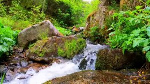 Relieve Tinnitus in 1 Hour with Water Stream Sound