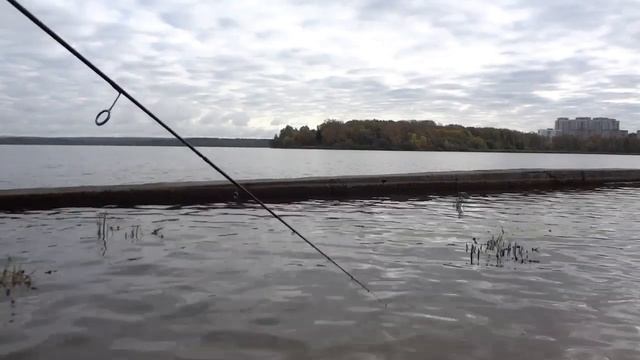 Береговой микроджиг по окуню на озере Сенеж. смотреть онлайн