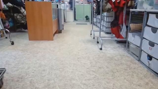 Заказной зимний комбинезон для цвергшнауцера