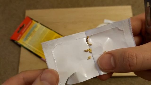 Роза из семян | СТРАТИФИКАЦИЯ | ШАГ 1 смотреть онлайн