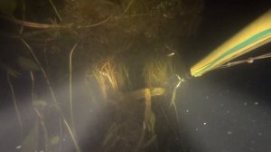 Глубокое озеро, в погоне за щукой  в летнюю ночь