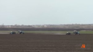 Культивация после ремонта двух Т-150К. С нами Т-150К-09-25, итого 4 трактора на поле.