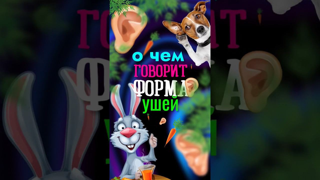 Диагностика по форме ушей #дефициты #дефицитвитаминов #дефицитнутриентов #дефицитбелка #нутрициолог