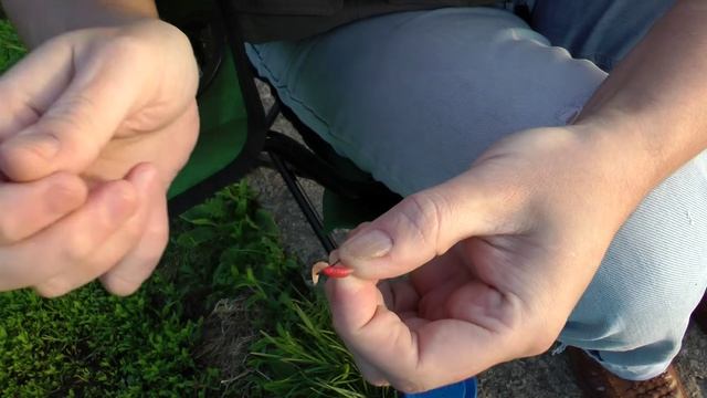 Как правильно насадить опарыша. смотреть онлайн