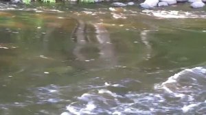 Пороги на Булатной реке