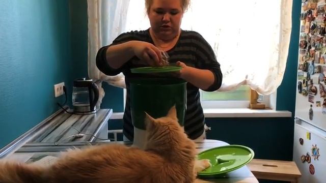 Первое включение проращивателя семян ДоброСад смотреть онлайн