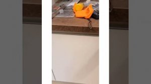 Как правильно установить духовой шкаф, посудомоечную машину, варочную панель и вытяжку?