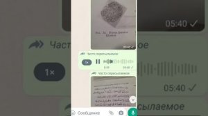 Имам Шамиль или агент Шамуил?