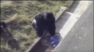 ни когда не оставляйте ребенка одного. when did not leave your baby alone