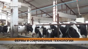 НОВЫЕ МЕРЫ ПОДДЕРЖКИ МОЛОЧНОГО ЖИВОТНОВОДСТВА ВВЕДУТ НА КАМЧАТКЕ • НОВОСТИ КАМЧАТКИ