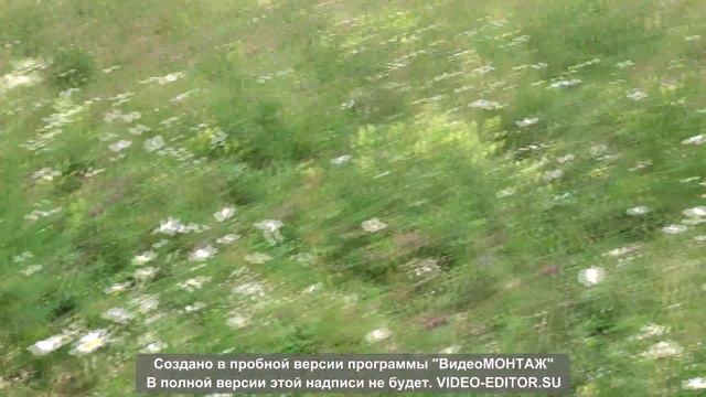 оз Белое д Рысай Учалинский район Башкирия смотреть онлайн