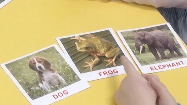 Кружки в 38 детском саду в Шушарах смотреть онлайн